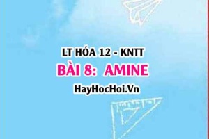 Khái niệm Amine? Tính chất hóa học của Amine, tính chất vật lí, điều chế và ứng dụng Amine? Hóa 12 bài 8 KNTT